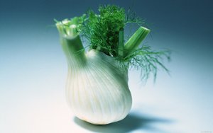 技术深度解析：原理与应用